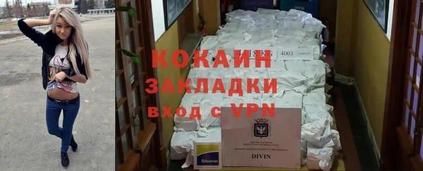 шишки Беломорск