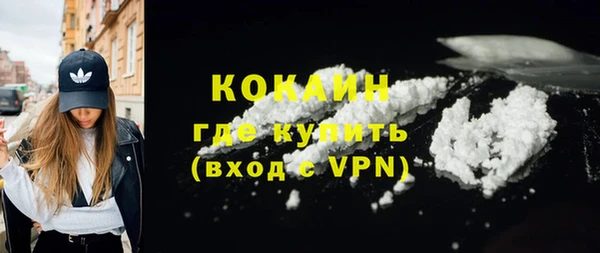 шишки Беломорск