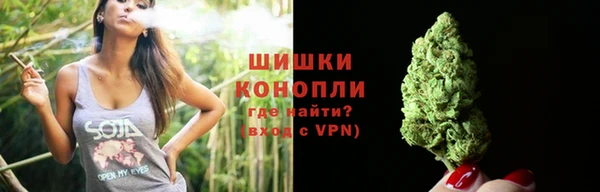 шишки Беломорск
