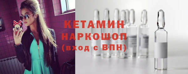 шишки Беломорск