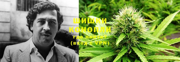 прущие крисы Белоозёрский