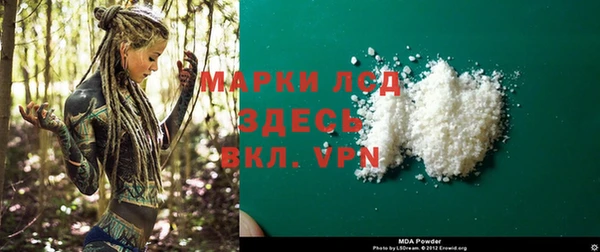 шишки Беломорск