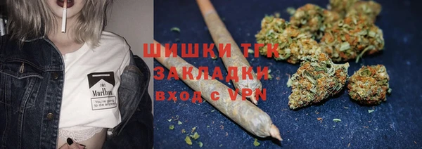 твердый Белокуриха