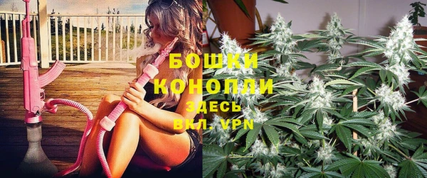 прущие крисы Белоозёрский